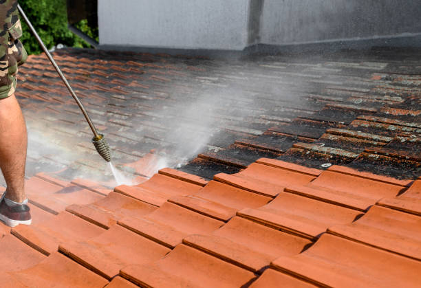 Garage Pressure Washing in Oak Brook, IL